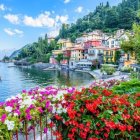 Colorful Cottage by River Surrounded by Lush Flowers