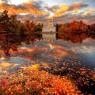 Tranquil lake at sunset with golden light and silhouetted trees