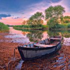 Weathered Blue Boat Surrounded by Seagulls in Scenic Landscape