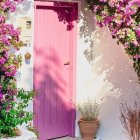 Whimsical pink door surrounded by vibrant flowers and butterfly on pot of blooms