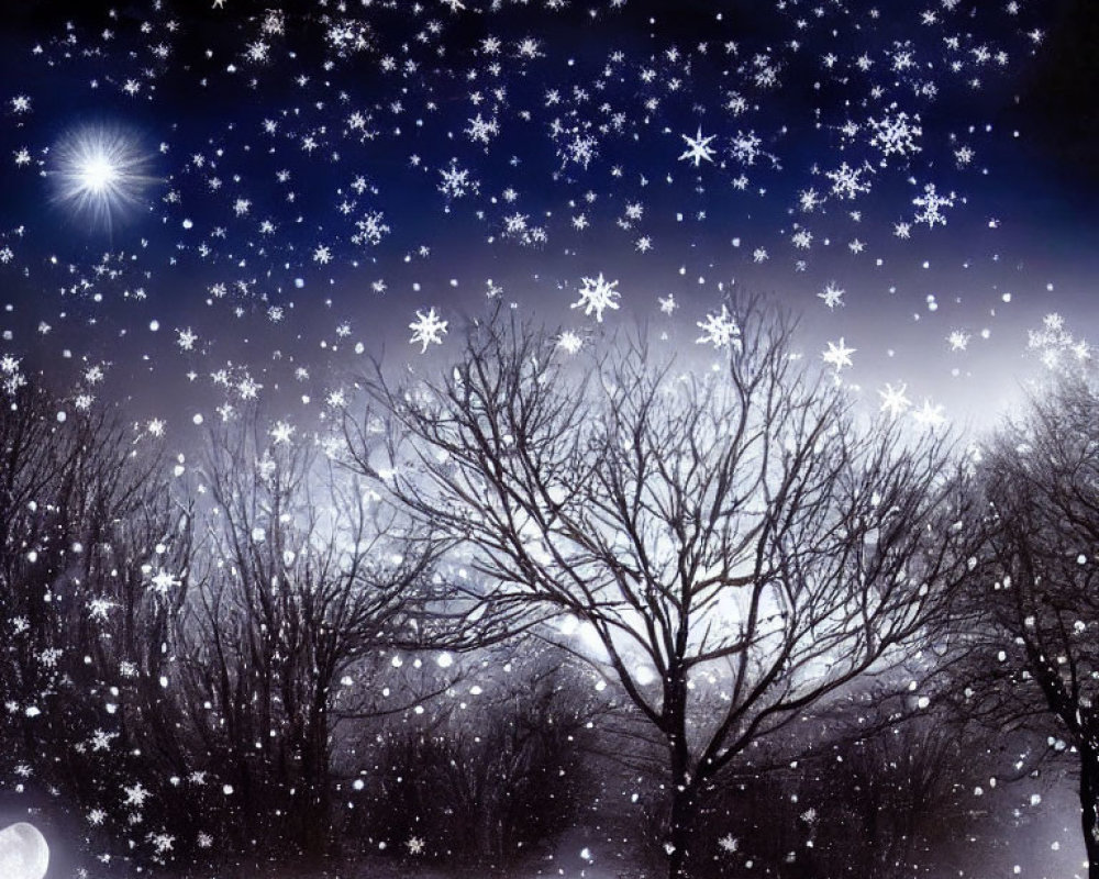 Snowy Winter Night: Bare Trees, Falling Snowflakes