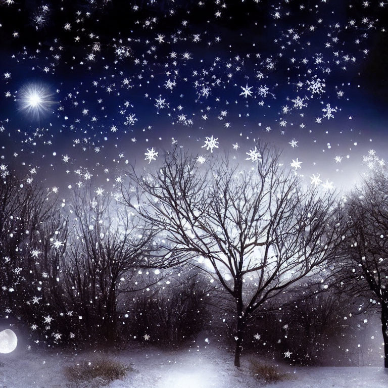 Snowy Winter Night: Bare Trees, Falling Snowflakes