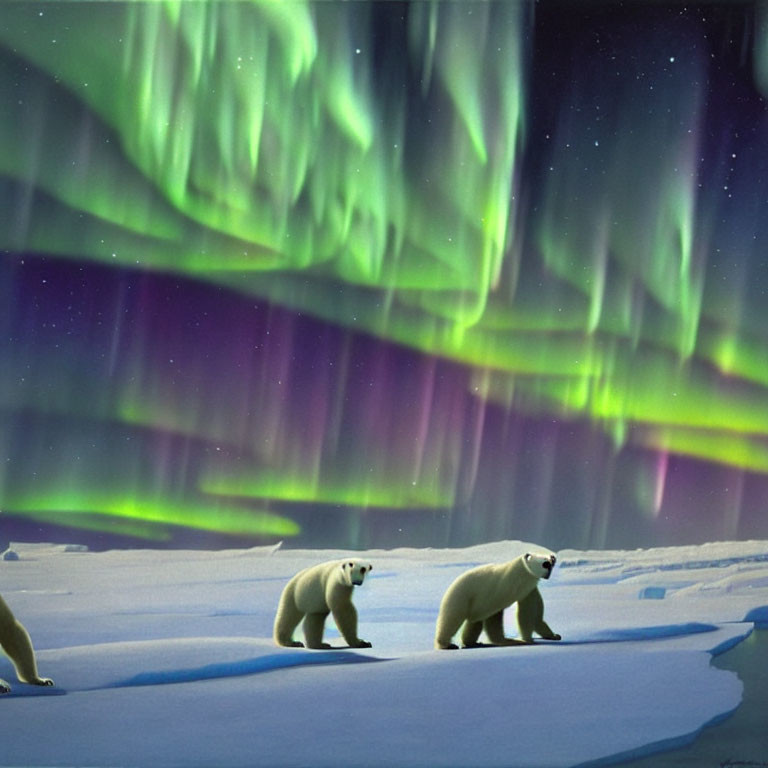 Polar bears under vibrant aurora borealis in snowy Arctic twilight