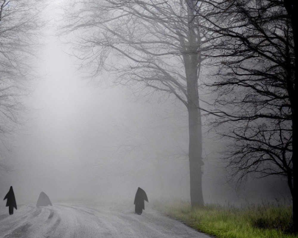 Desolate road in thick fog with bare trees and direction arrows.