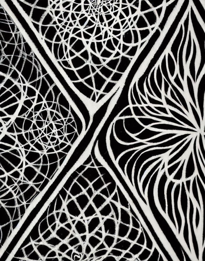 Monochrome abstract pattern with lace-like symmetry and bold lines