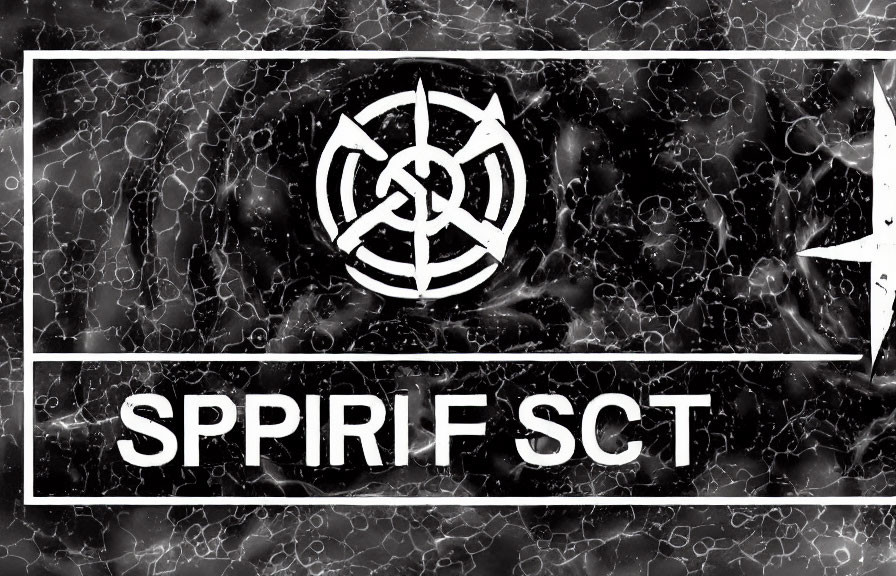 Monochrome image of crosshair symbol with arrows on abstract background and "SPIRIF SCT" text