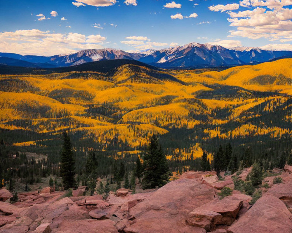 Vibrant yellow foliage on rolling hills with majestic mountains and blue sky