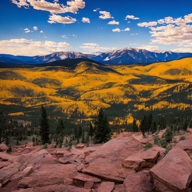 Vibrant yellow foliage on rolling hills with majestic mountains and blue sky