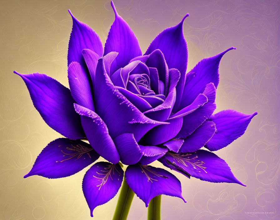 Detailed Purple Rose with Water Droplets on Golden Background