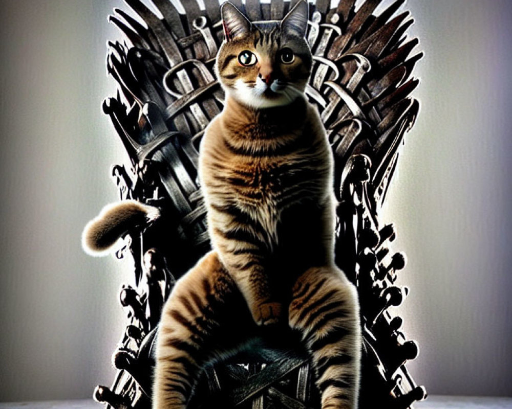 Regal cat on iron throne of swords symbolizes power