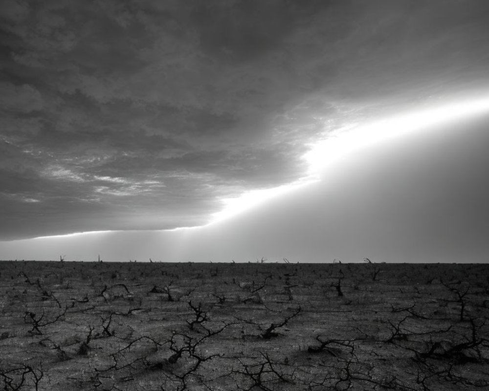 Monochrome landscape with cracked earth and dramatic sky