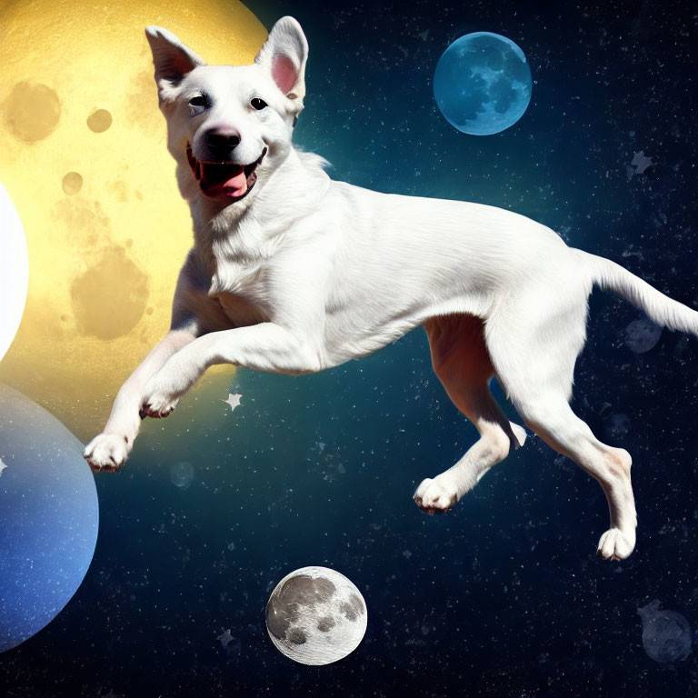 White Dog Floating in Whimsical Cosmic Space Scene