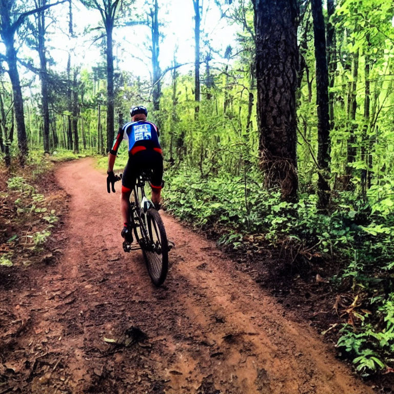 Cyclist on dirt trail in lush forest with green foliage