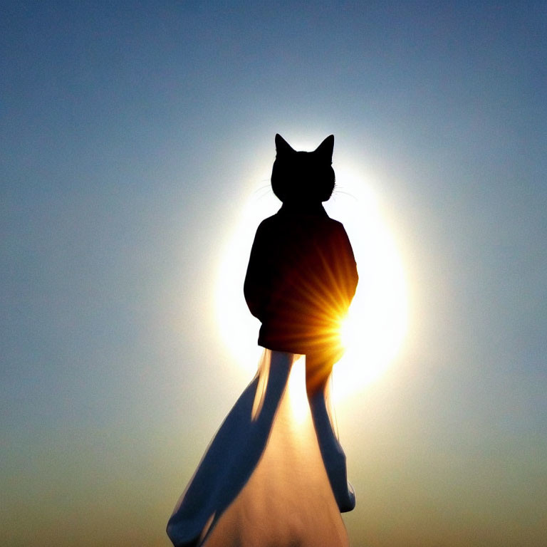 Cat silhouette perched on draped structure against radiant sunset.