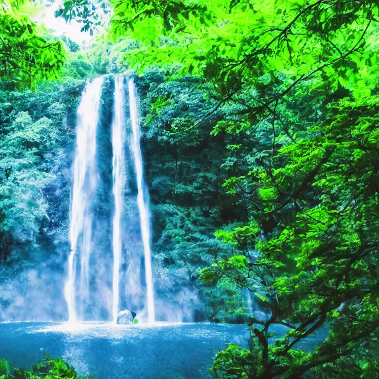 Tranquil waterfall in lush forest setting