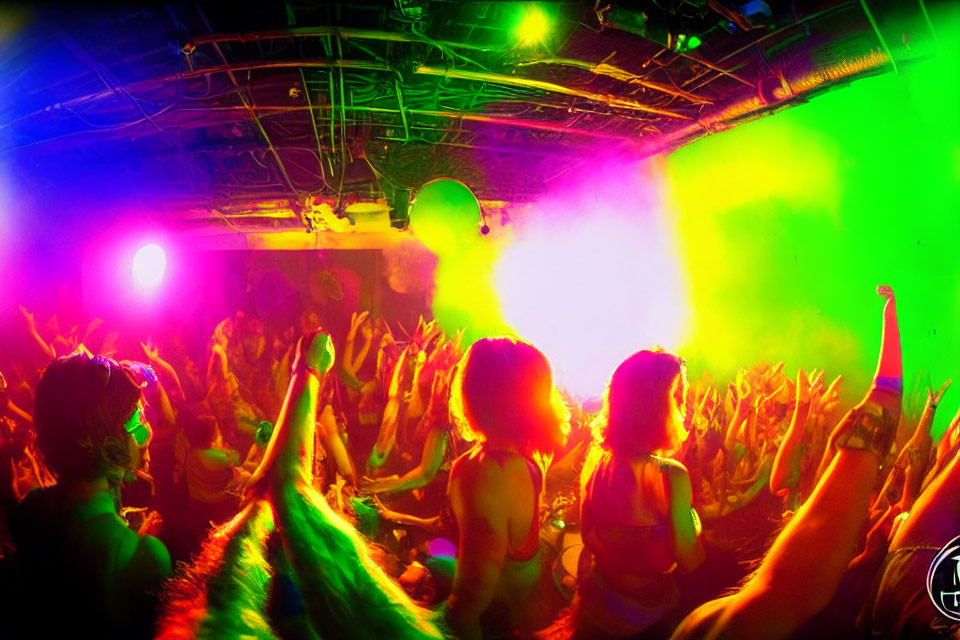 Crowd dancing under green and pink lights