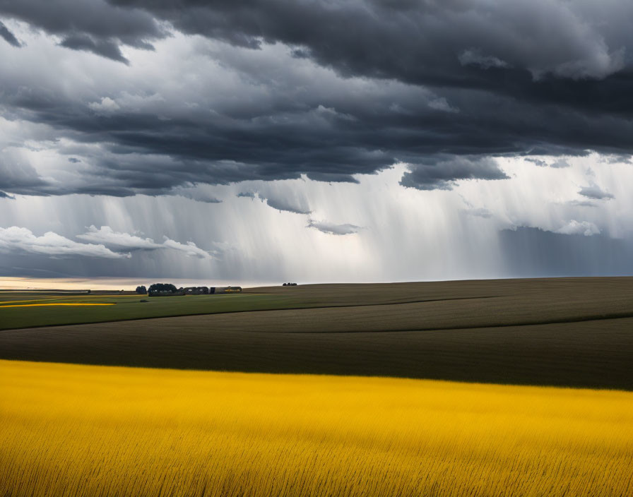 Dramatic Landscape: Dark Storm Clouds, Golden Field, Rain, Sunlight