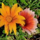 Woman with Red Hair Surrounded by Flowers and Sunflower Bouquet