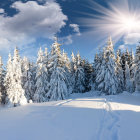 Snow-covered winter landscape at dusk with colorful illuminated trees under a starlit sky