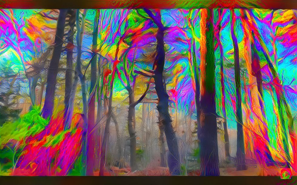 Psychedelic Forest Fire