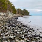 Tranquil pebbled beach with lush greenery and rocky cliffs