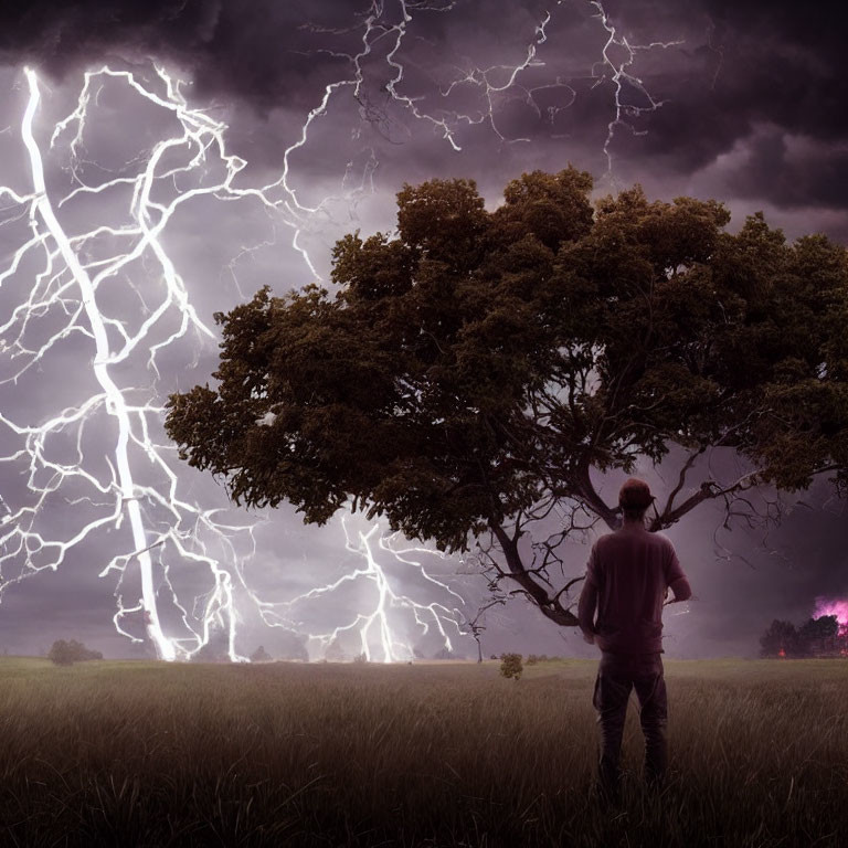 Person standing in field under tree watching dramatic lightning-filled sky