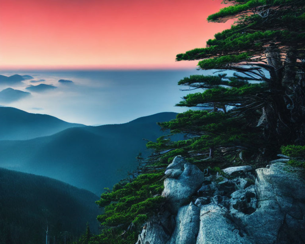 Twilight landscape: silhouetted tree, misty mountains, pink and blue sky