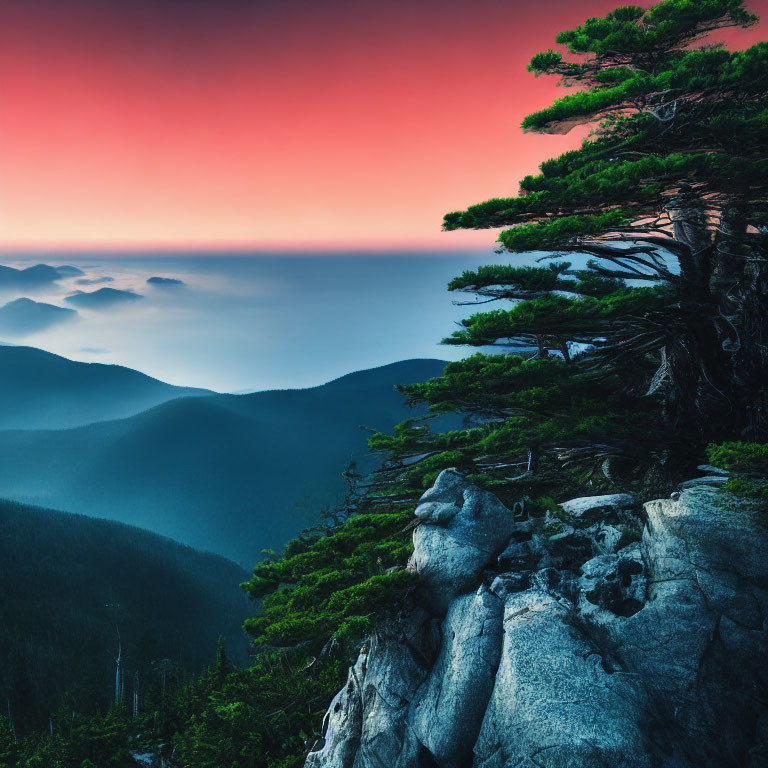 Twilight landscape: silhouetted tree, misty mountains, pink and blue sky