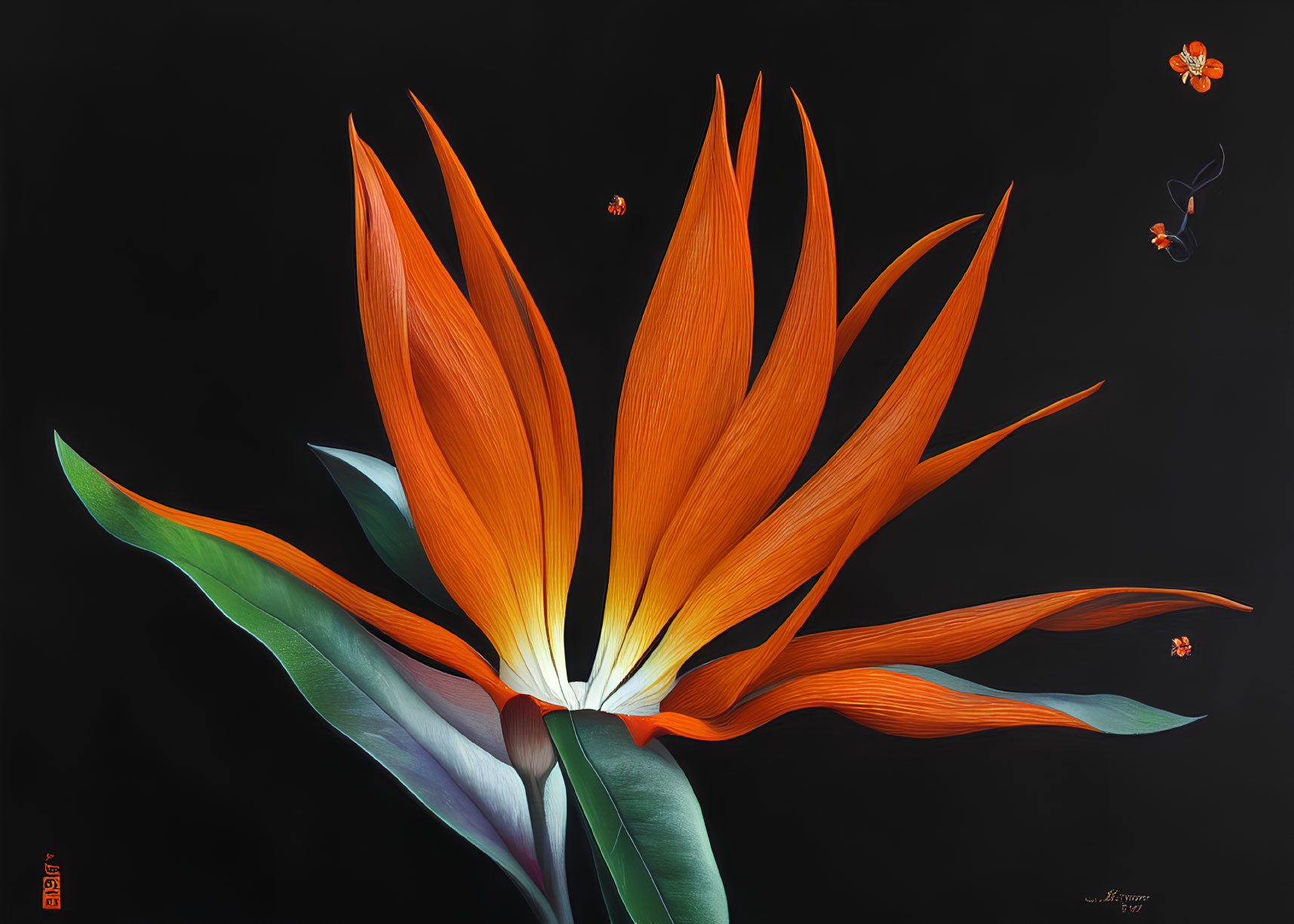 Colorful Bird of Paradise Flower with Flying Insects on Black Background