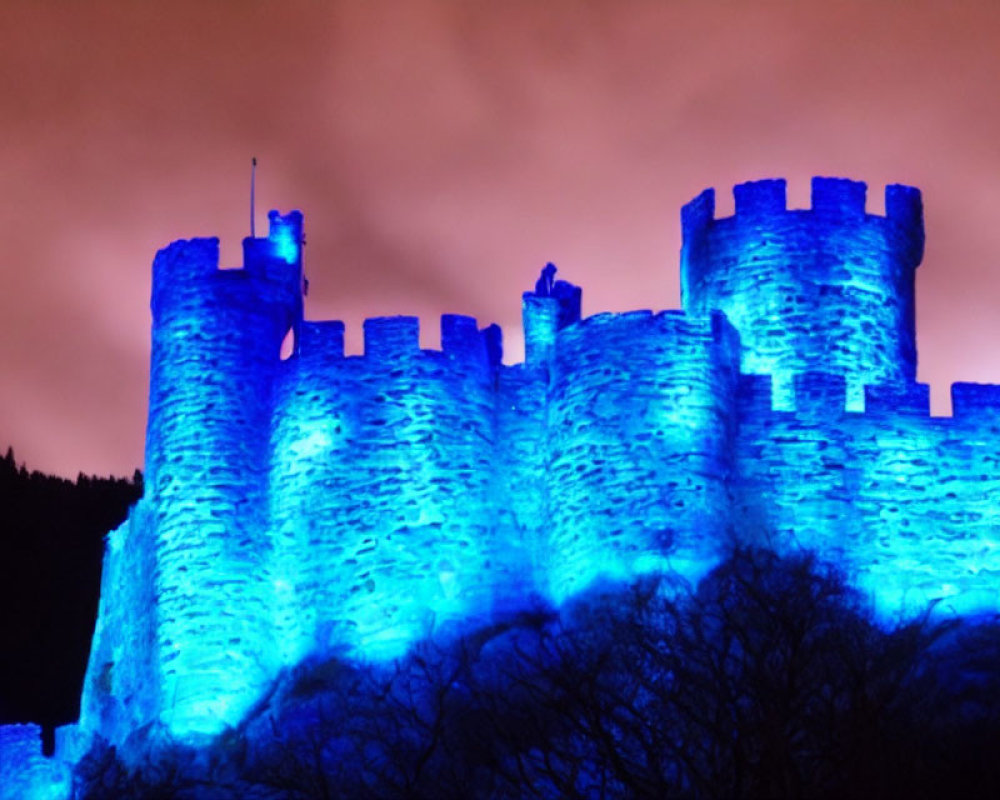 Blue illuminated castle against reddish night sky with silhouetted trees