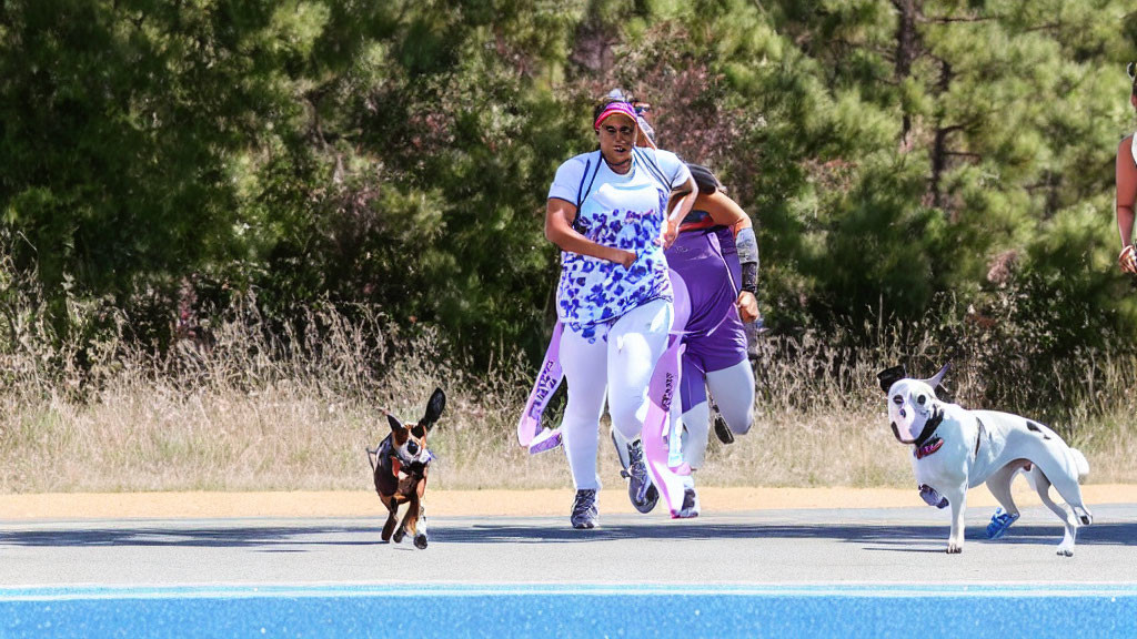 Sprinting person with two dogs on blue track under sunny sky