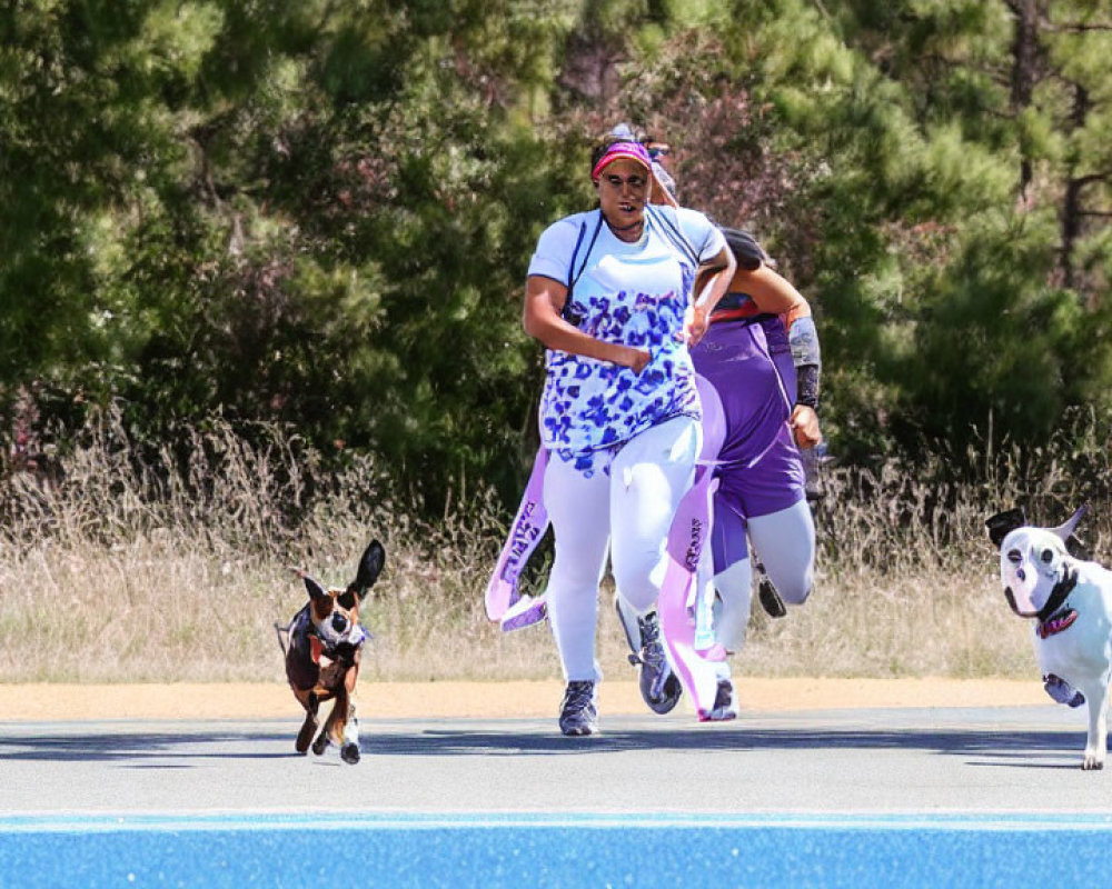 Sprinting person with two dogs on blue track under sunny sky