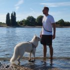 Shirtless man with dogs by lake at dusk