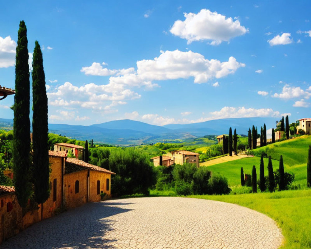 Sunny Tuscan landscape with cypress trees and cobblestone road