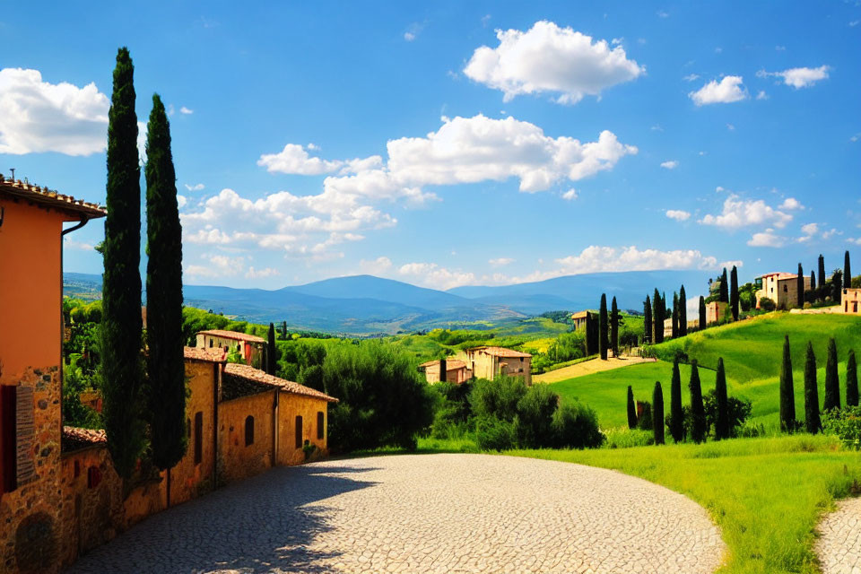 Sunny Tuscan landscape with cypress trees and cobblestone road