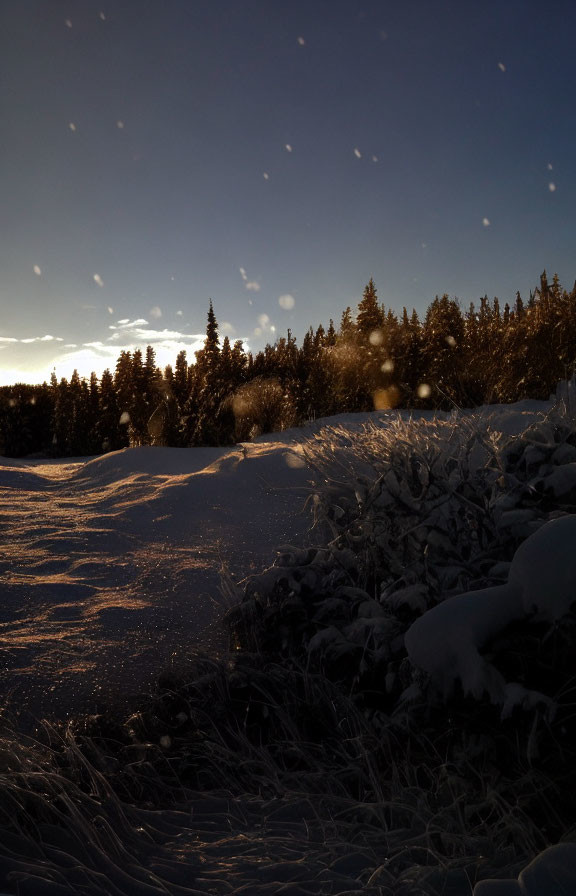 Winter sunset over snow-covered landscape with glowing trees and clear blue sky