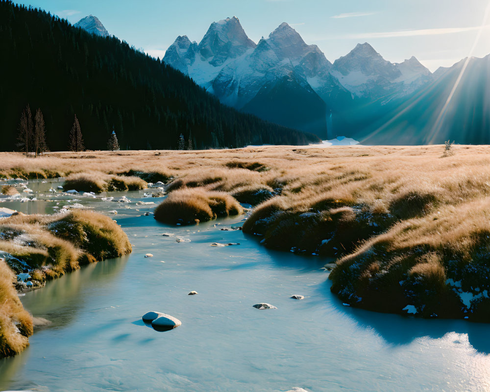 Snowy River Landscape with Golden Grass and Snow-Capped Mountains