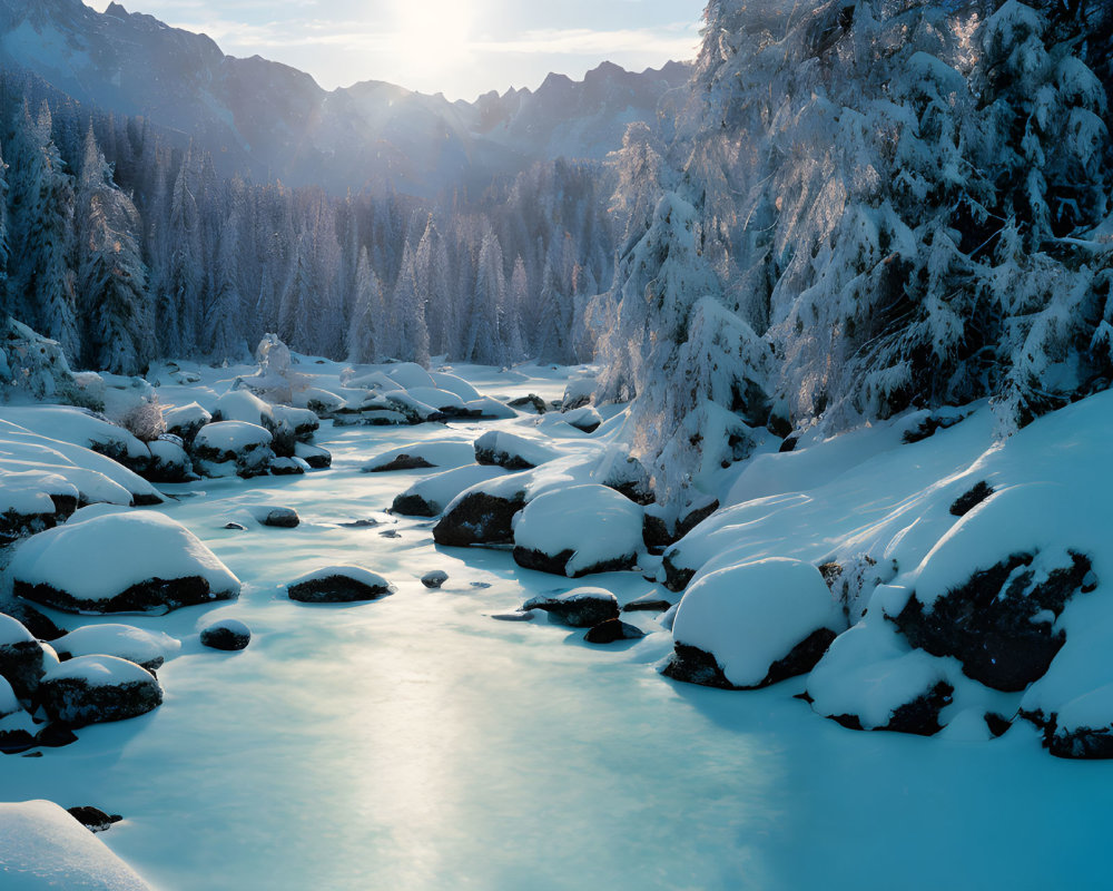 Snow-covered winter landscape with sunlit stream and frosty pine trees