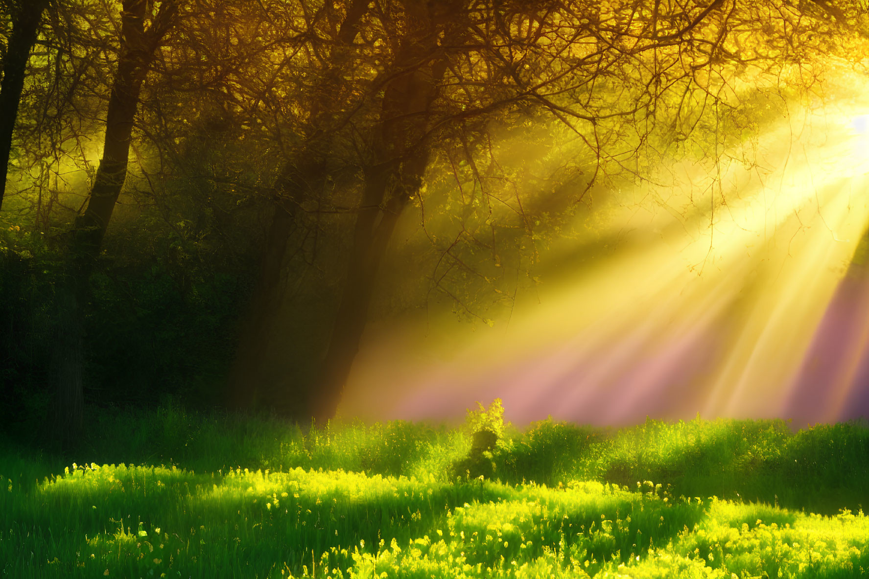 Vibrant green forest with sun rays, misty morning, and field of flowers