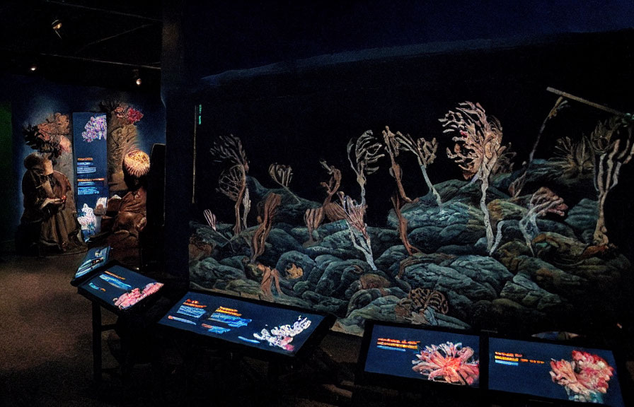 Coral models and educational displays in dimly lit deep sea exhibit