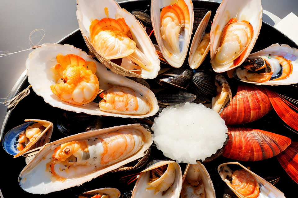 Assorted Seafood Platter with Shrimp, Mussels, and Clams on Ice