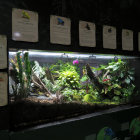 Botanical terrarium with diverse plants under artificial lighting and informative plaques