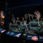 Coral models and educational displays in dimly lit deep sea exhibit