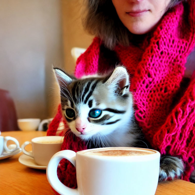 Person in red scarf with curious kitten behind coffee cup at table