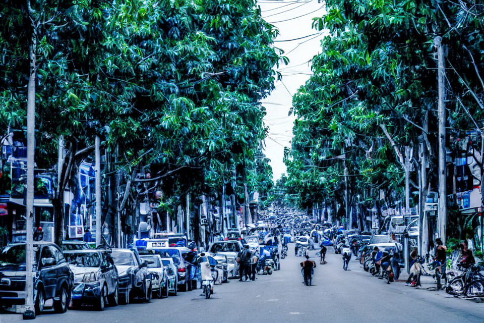 City street with trees, parked cars, and motorcycles passing by