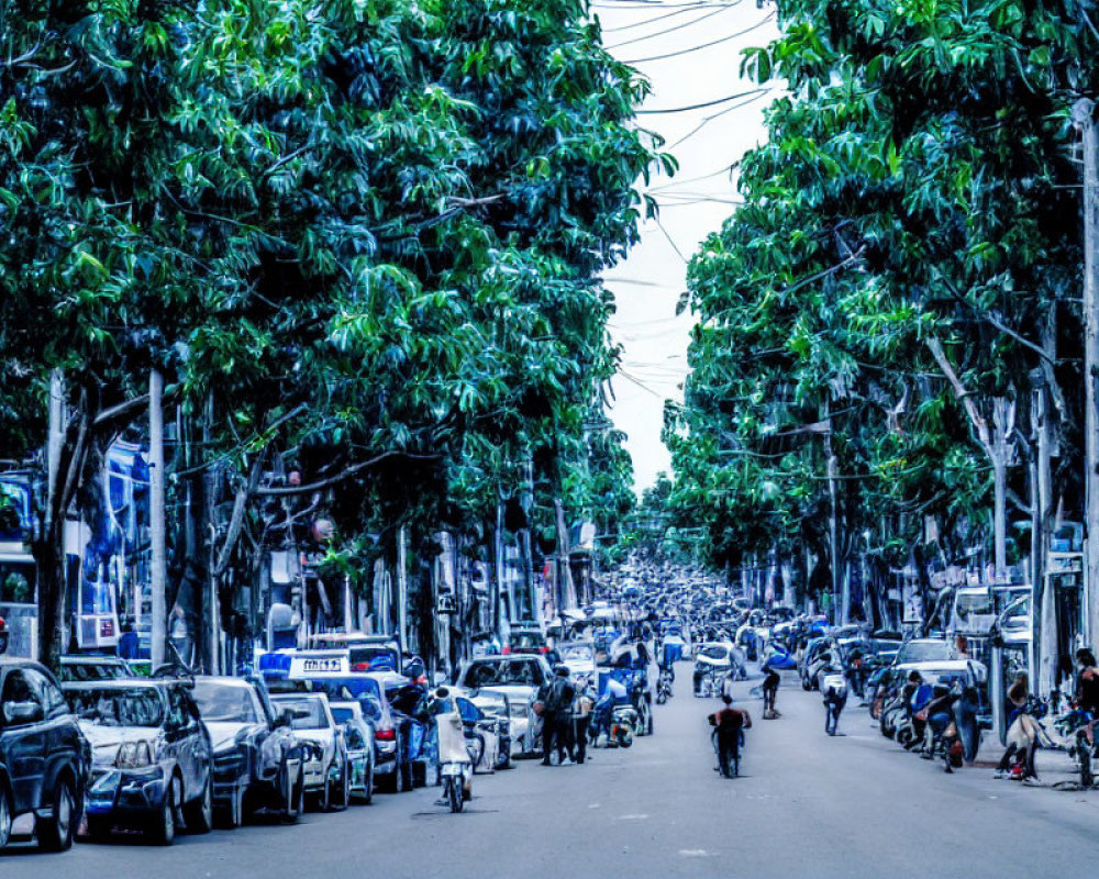 City street with trees, parked cars, and motorcycles passing by