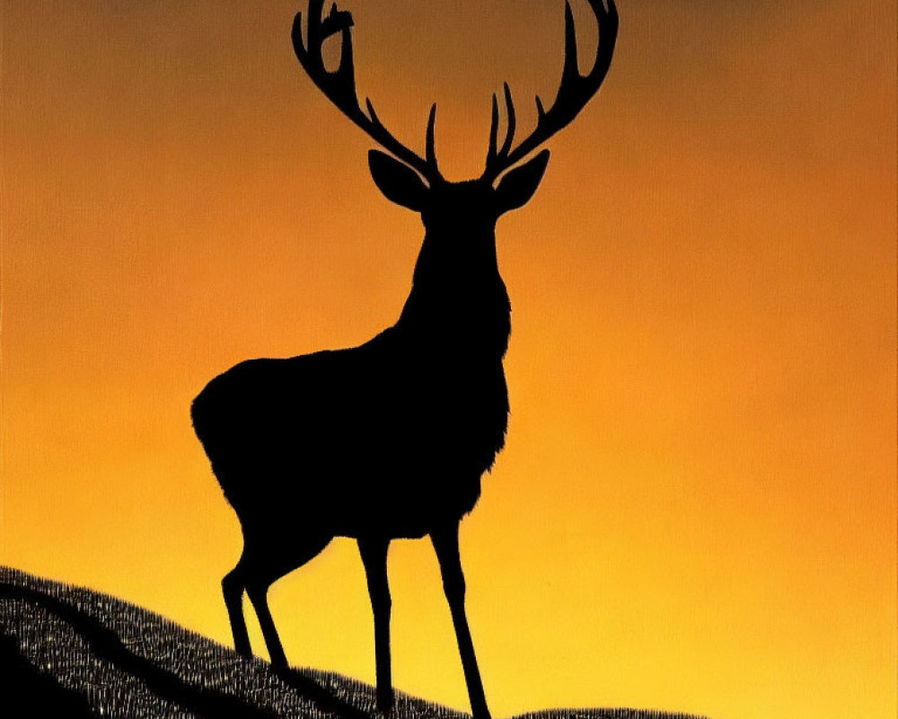 Majestic deer silhouette with large antlers at sunset