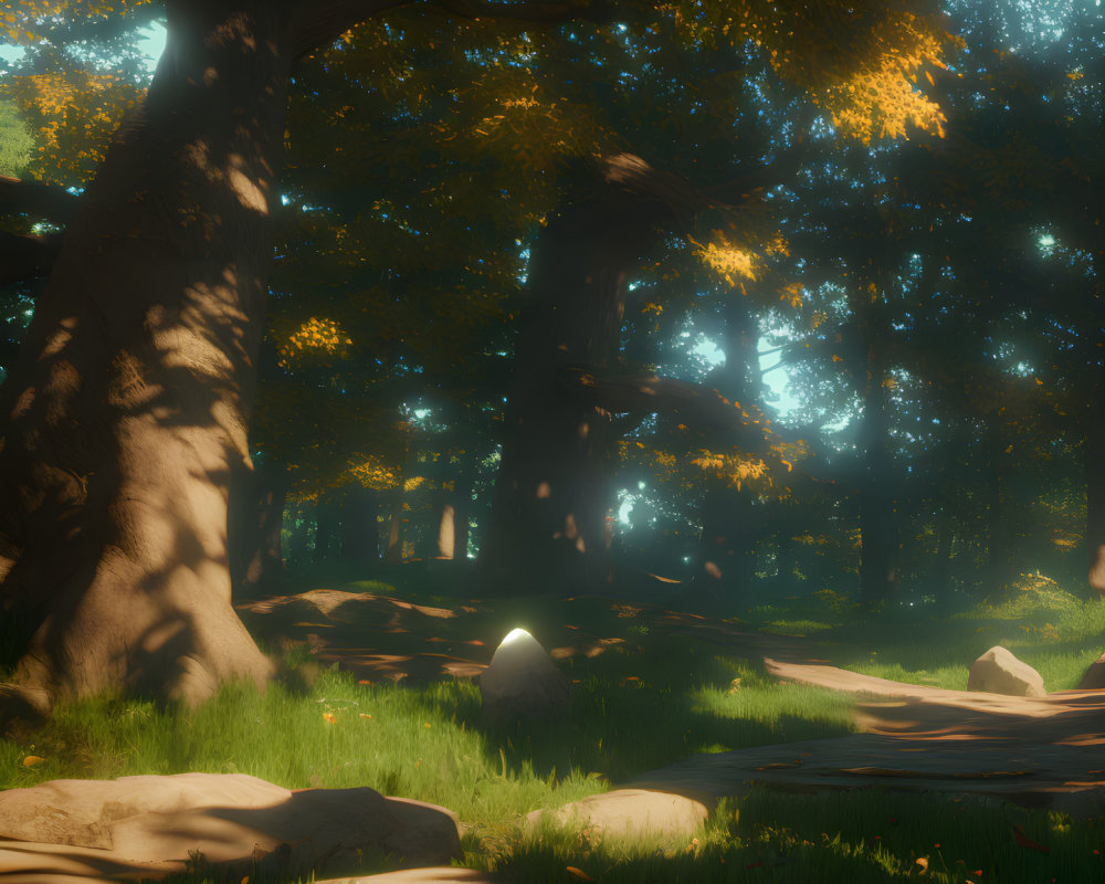 Sunlit forest path with green foliage and rocks