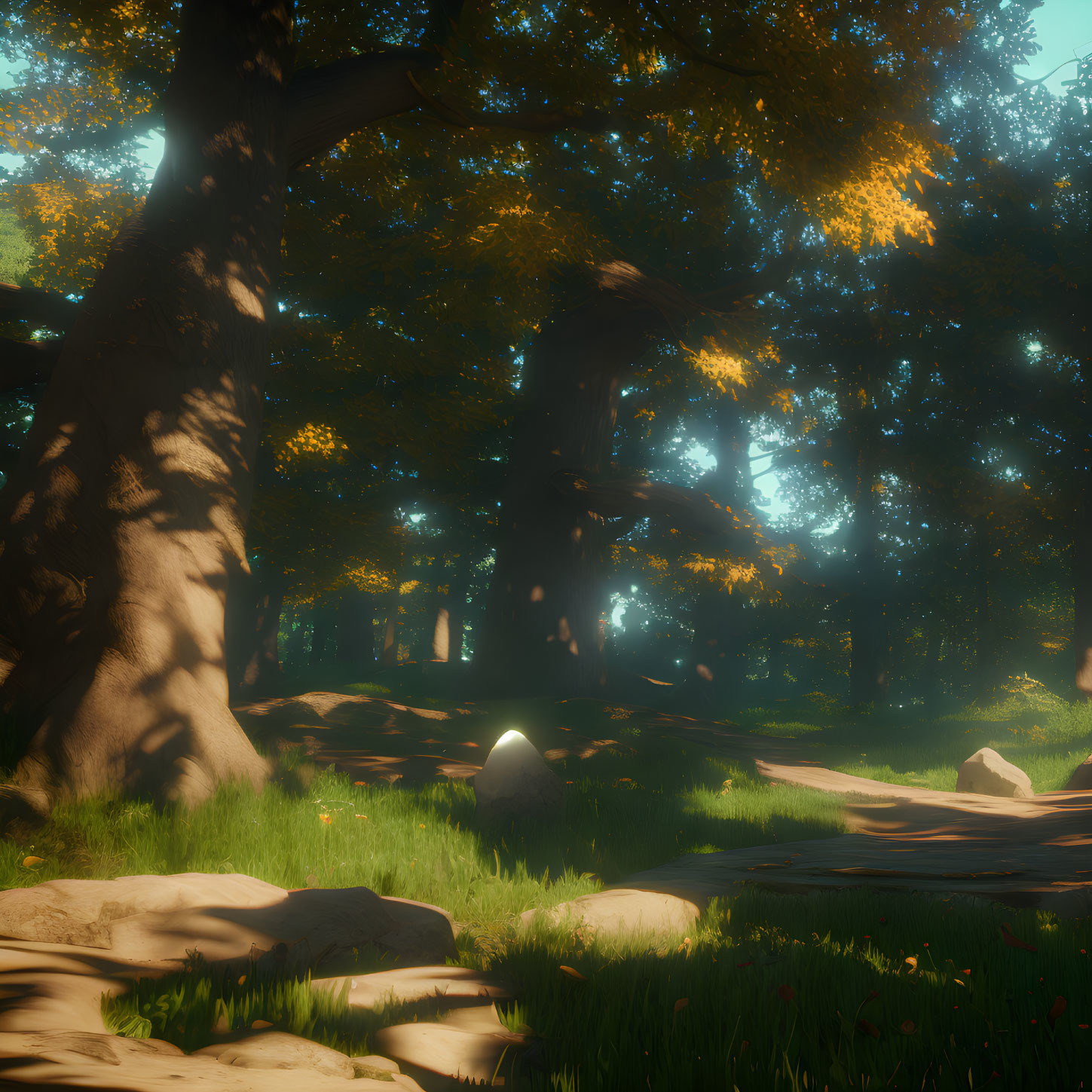 Sunlit forest path with green foliage and rocks