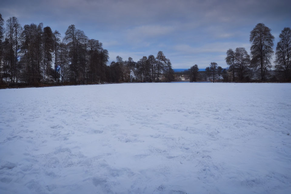 Snowy landscape with scattered footprints, leafless trees, and cloudy sky.